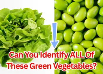 Can You Identify ALL Of These Green Vegetables?