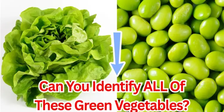Can You Identify ALL Of These Green Vegetables?