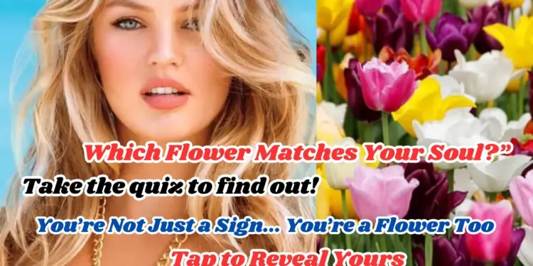 Discover Your Soul Flower What's Your Inner Bloom