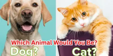 Which Animal Would You Be?