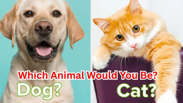 Which Animal Would You Be?