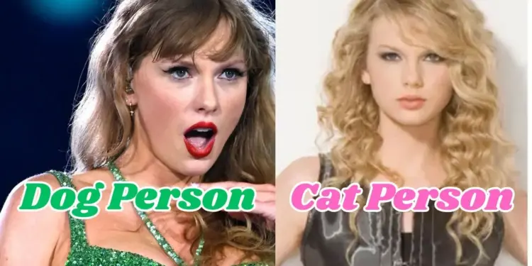 Are You a Cat or Dog Person These Taylor Swift Songs Will Reveal the Truth